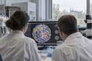 Virus klíšťové encefalitidy má v obalu překvapivé lysiny